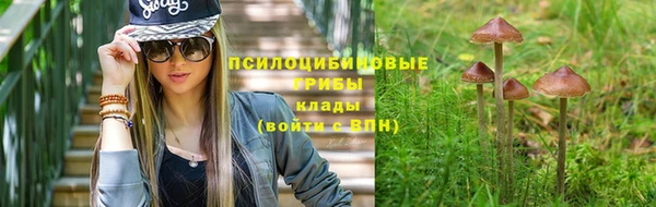хмурый Иннополис
