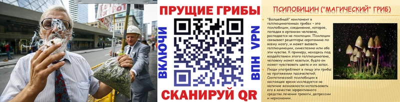 Купить где  Арзамас  Псилоцибиновые грибы Magic Shrooms 